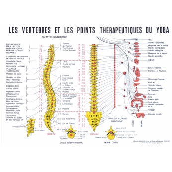 Planche de la colonne vertébrale et points thérapeutiques